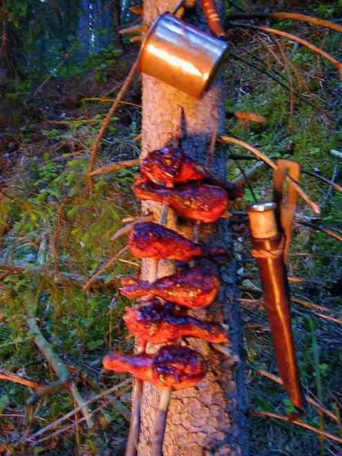 Elva j�el I juunis 2006