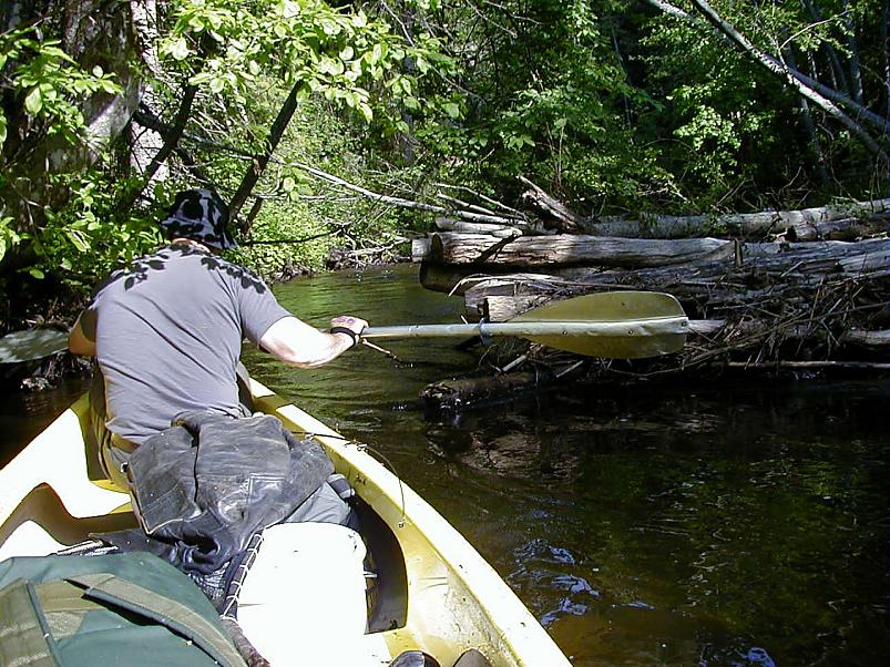 Elva j�el I juunis 2006