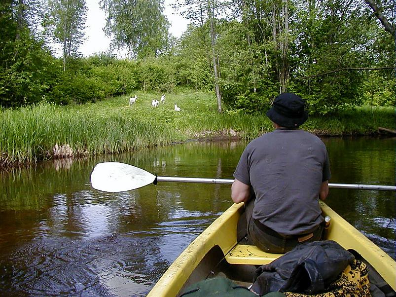 Elva j�el I juunis 2006