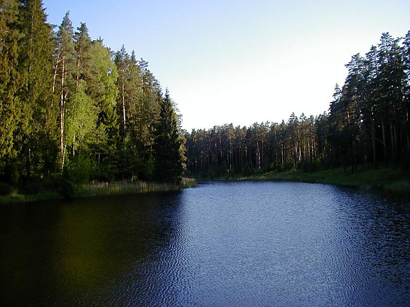 Elva j�el I juunis 2006