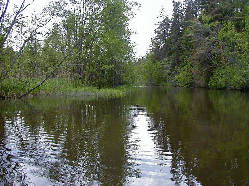 Elva j�el I juunis 2006