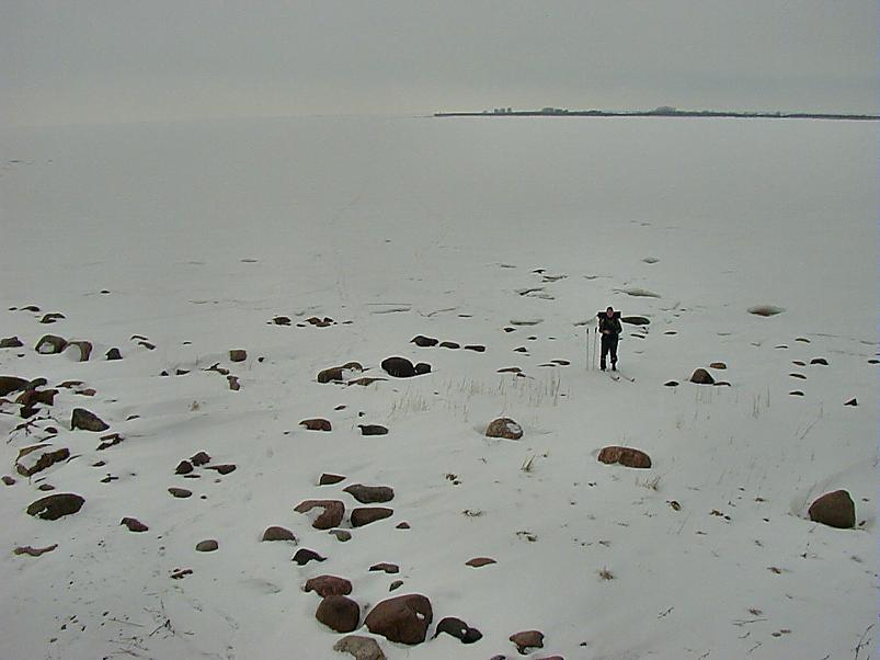 Paatsalu lahel 2006