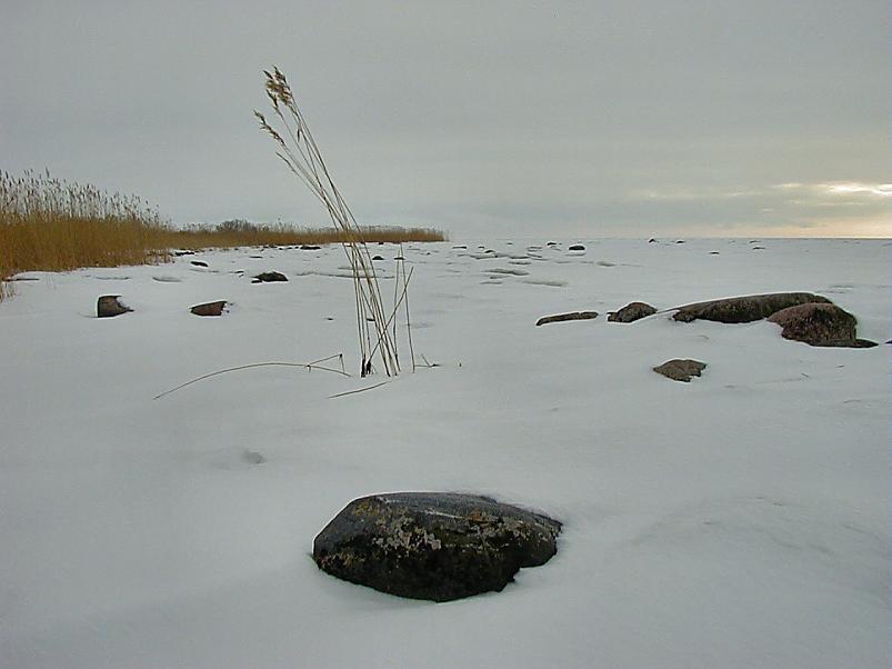 Paatsalu lahel 2006