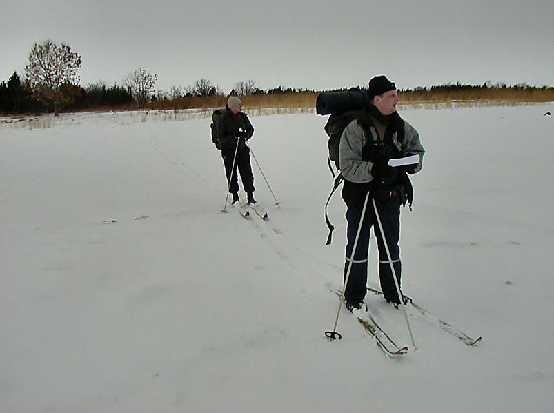 Paatsalu lahel 2006