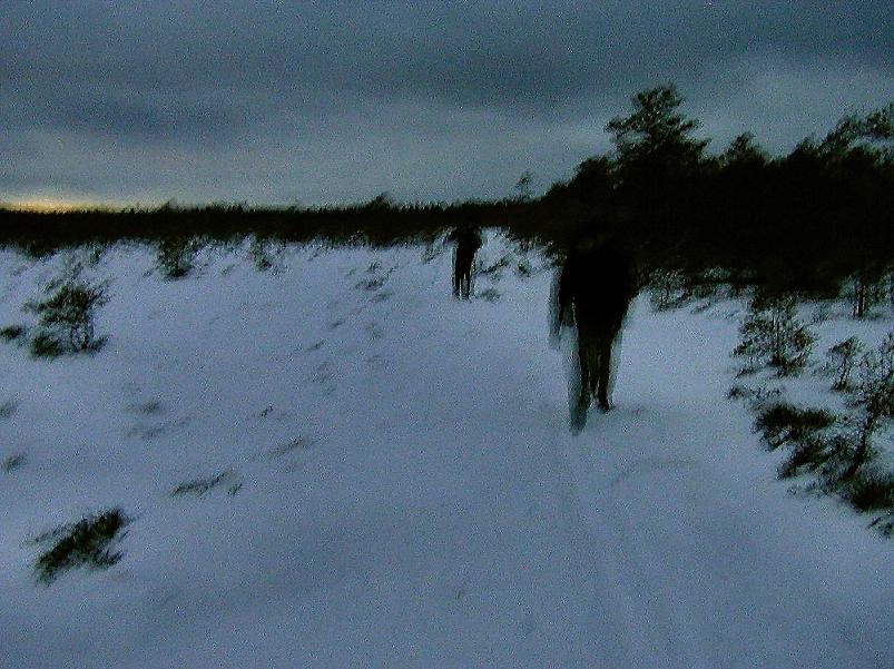 Madisem�el jaan. 2006