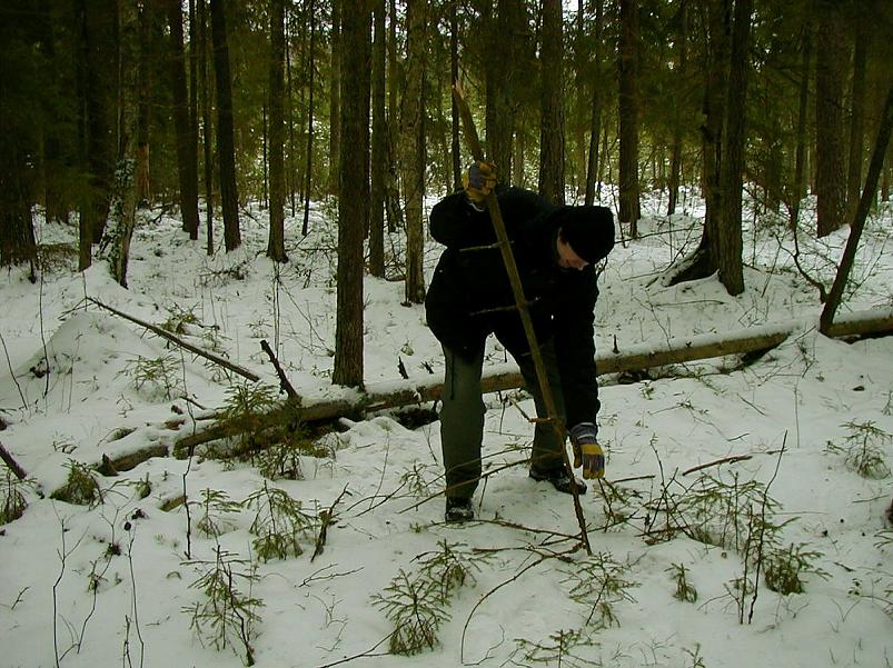 Madisem�el jaan. 2006