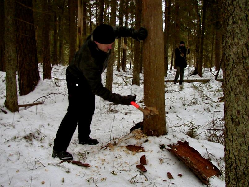 Madisem�el jaan. 2006