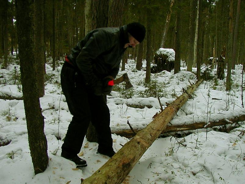 Madisem�el jaan. 2006