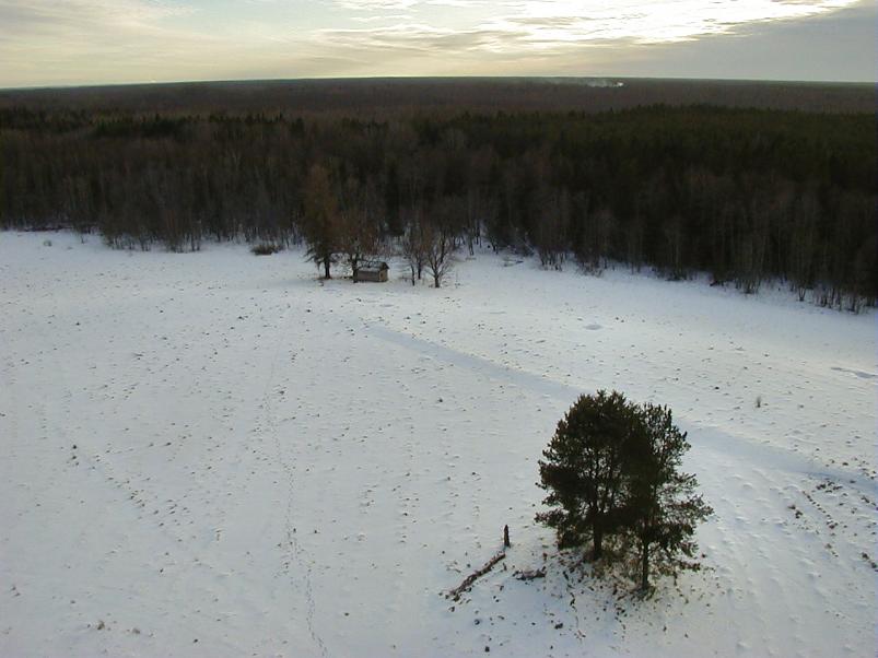 Madisem�el jaan. 2006