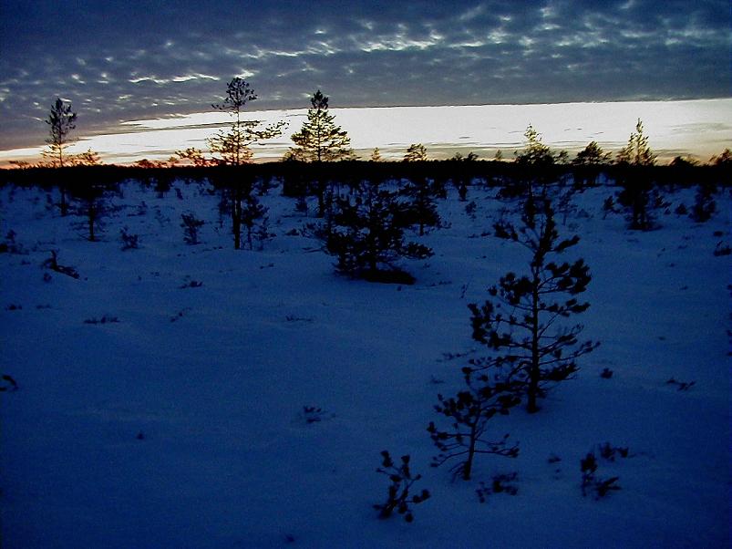 Madisem�el jaan. 2006