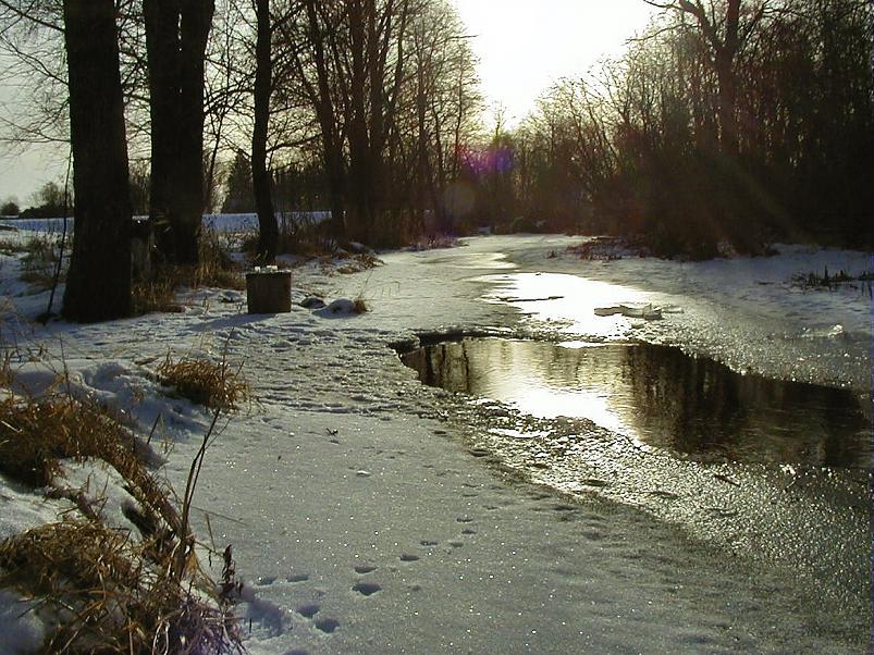 Madisem�el jaan. 2006