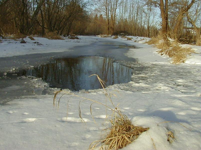 Madisem�el jaan. 2006