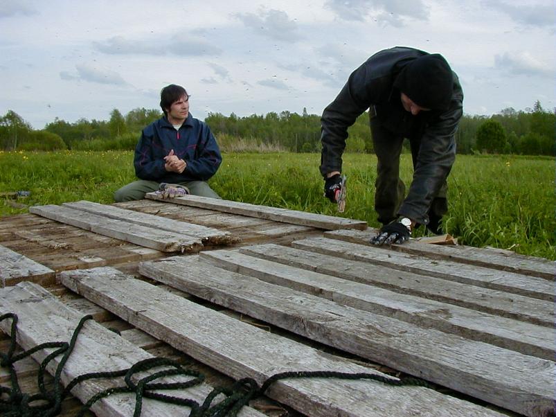 Pedja parveretk II, 2005