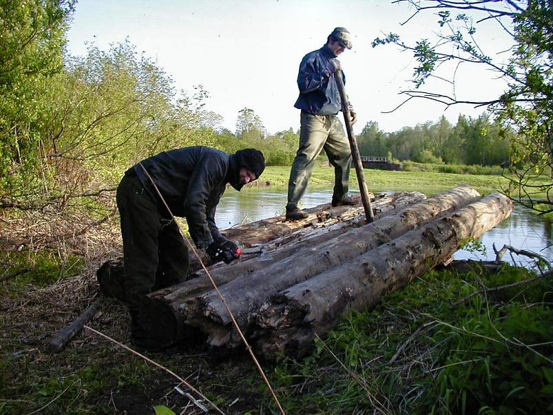 Pedja parveretk II, 2005