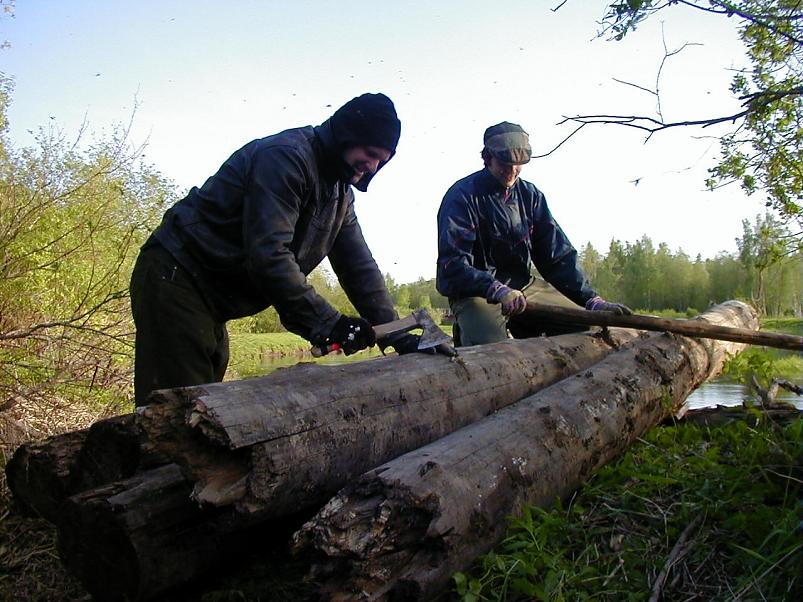 Pedja parveretk II, 2005