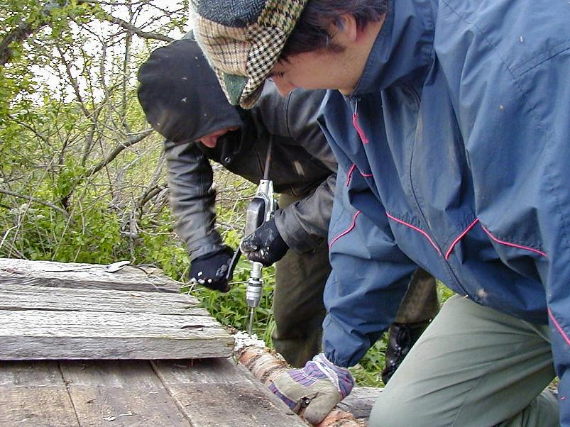 Pedja parveretk II, 2005