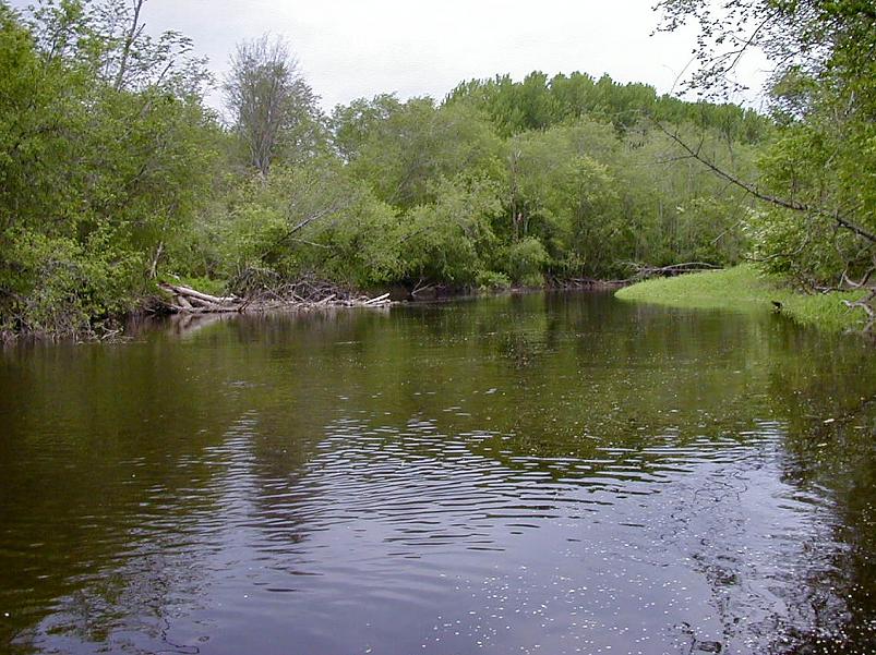 Pedja parveretk II, 2005