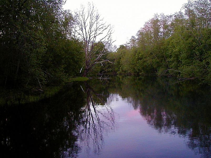 Pedja parveretk II, 2005