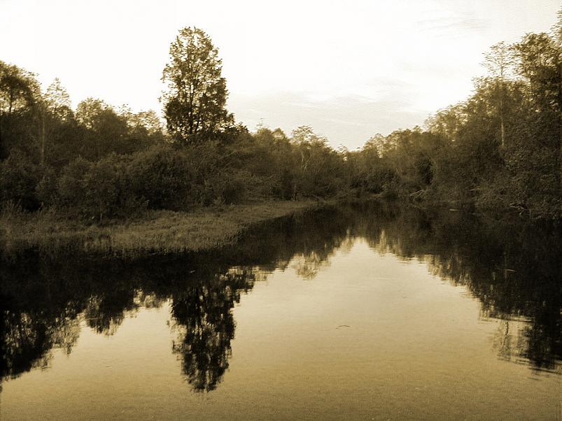 Pedja parveretk II, 2005