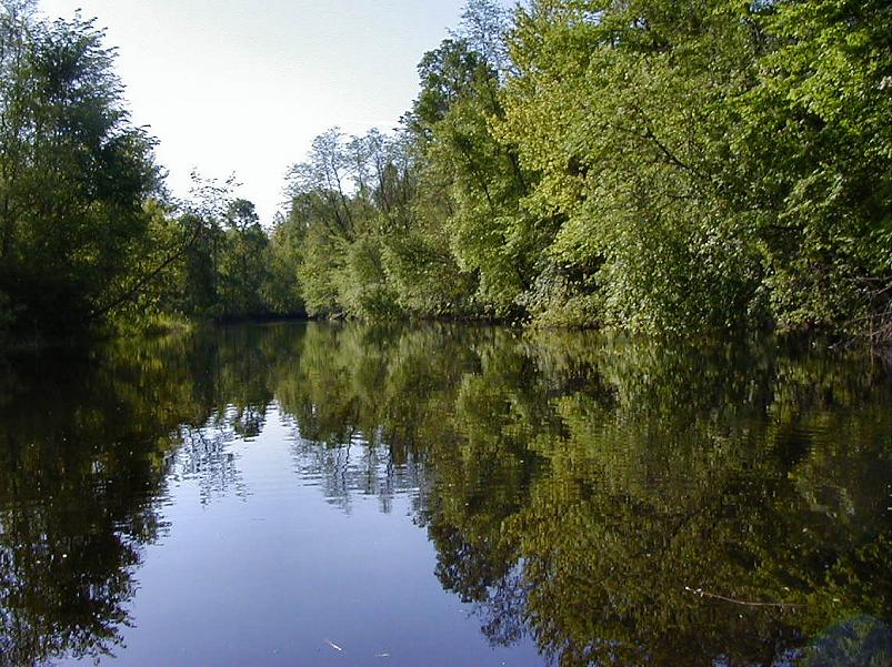 Pedja parveretk II, 2005