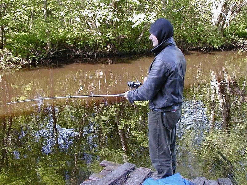 Pedja parveretk II, 2005