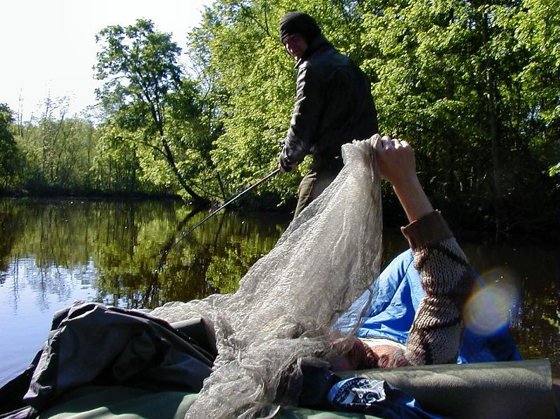 Pedja parveretk II, 2005