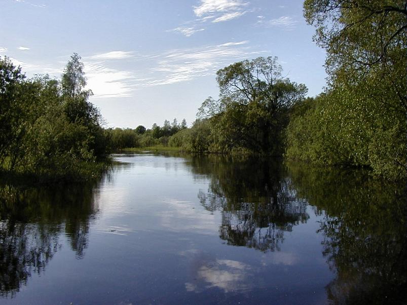 Pedja parveretk II, 2005