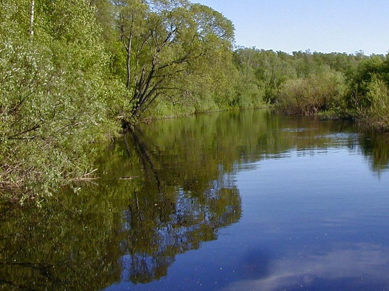 Pedja parveretk II, 2005