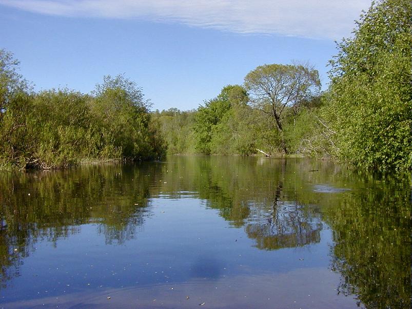 Pedja parveretk II, 2005