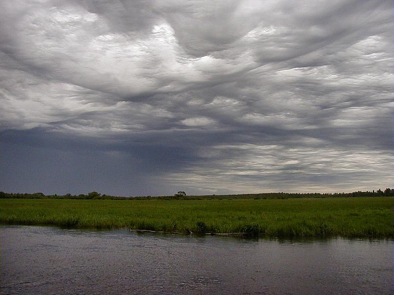 Pedja parveretk II, 2005