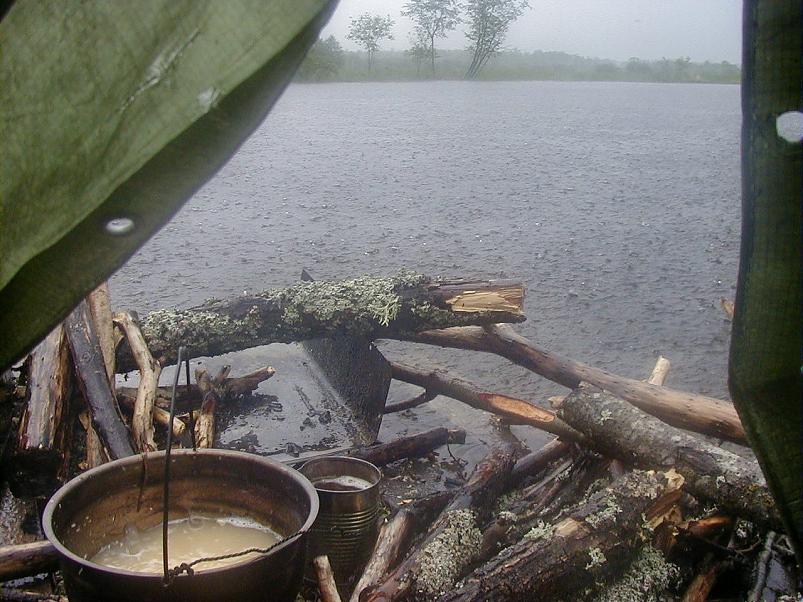 Pedja parveretk II, 2005