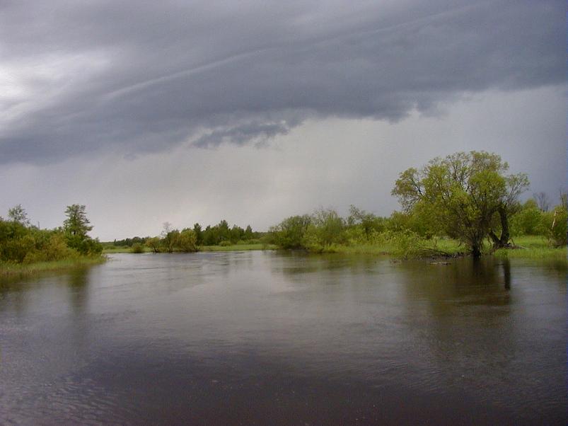 Pedja parveretk II, 2005