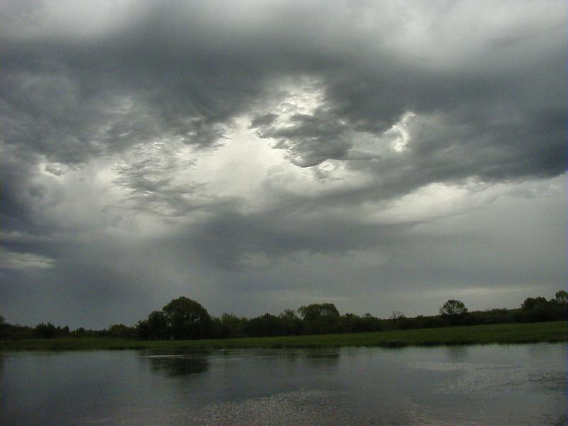 Pedja parveretk II, 2005