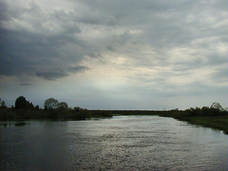 Pedja parveretk II, 2005