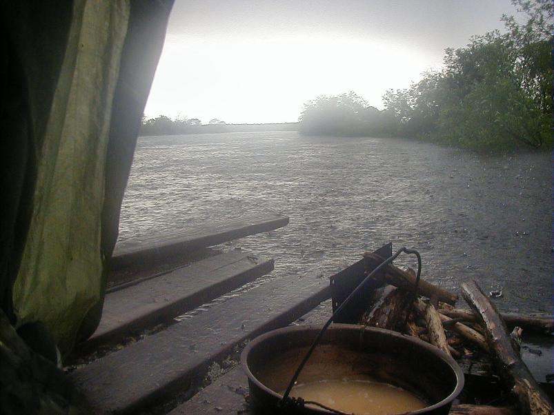 Pedja parveretk II, 2005