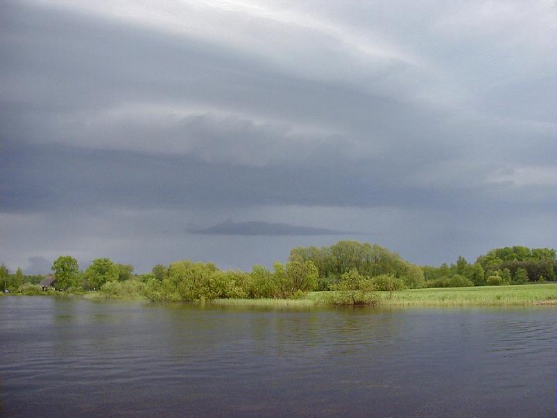 Pedja parveretk II, 2005