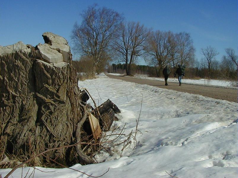 Ahja alamjooksul 2005