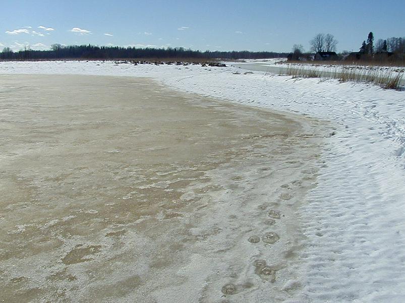 Ahja alamjooksul 2005