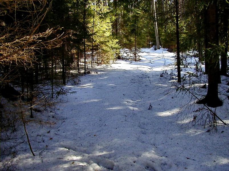 Ahja alamjooksul 2005