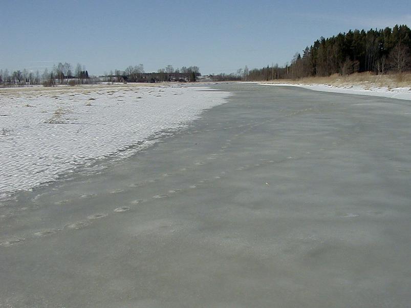 Ahja alamjooksul 2005