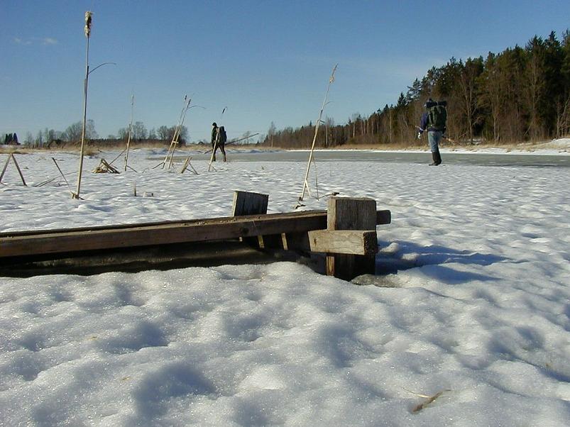 Ahja alamjooksul 2005