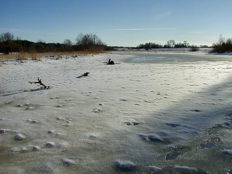 Ahja alamjooksul 2005