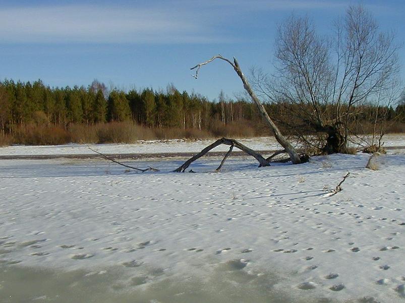 Ahja alamjooksul 2005