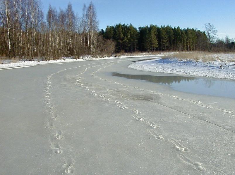 Ahja alamjooksul 2005