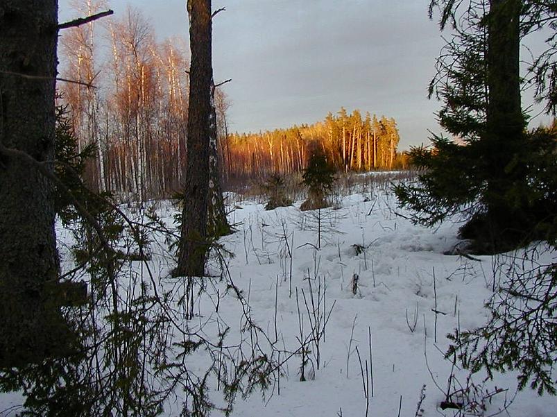 Ahja alamjooksul 2005