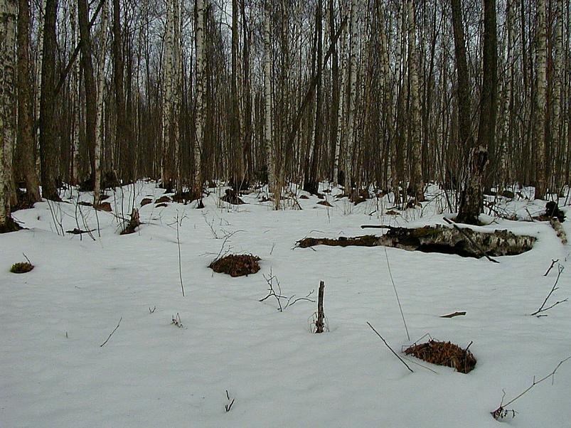Ahja alamjooksul 2005