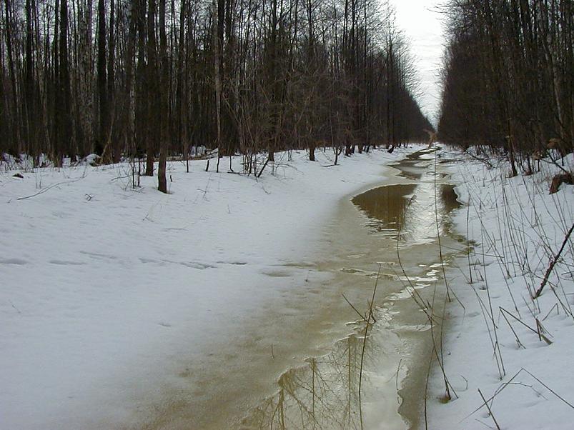 Ahja alamjooksul 2005