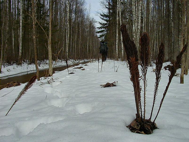 Ahja alamjooksul 2005