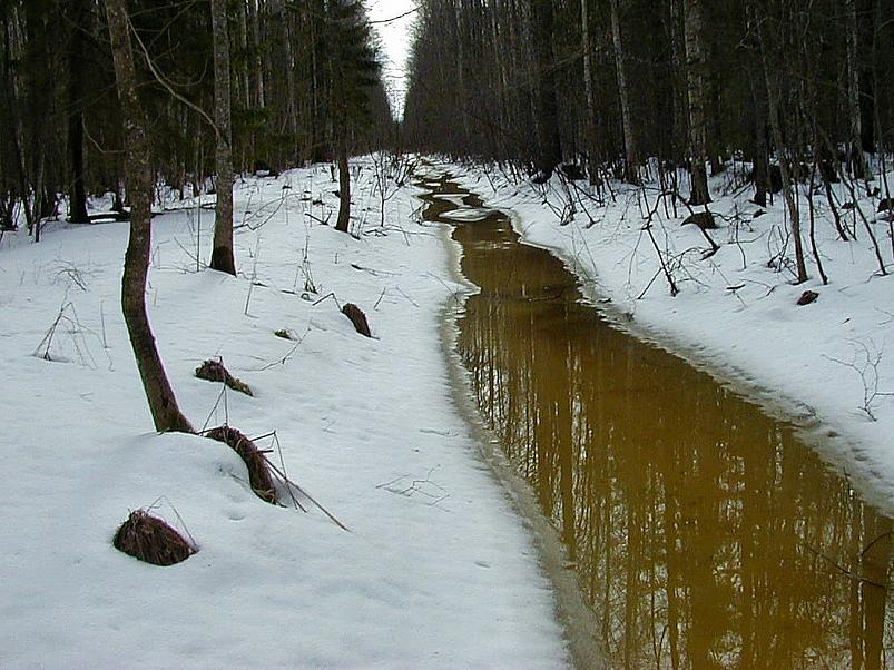 Ahja alamjooksul 2005