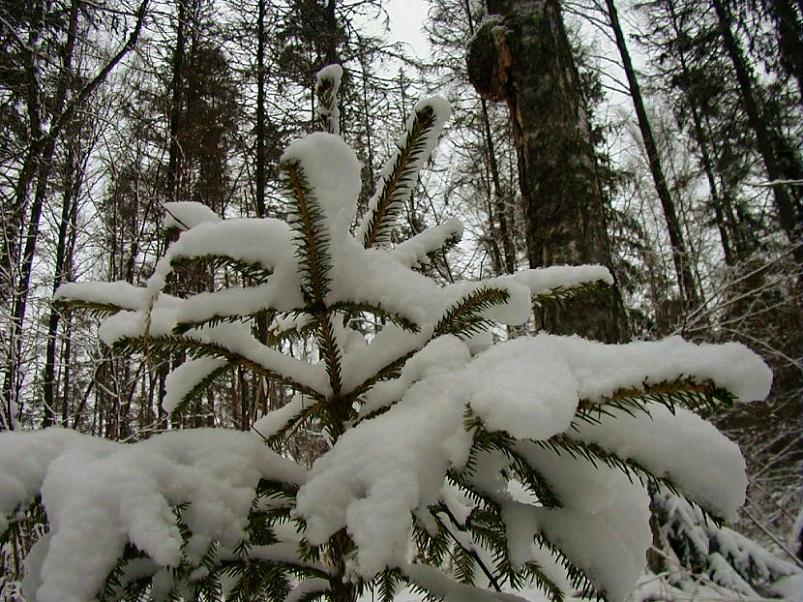 Selgise m�gedes 2005